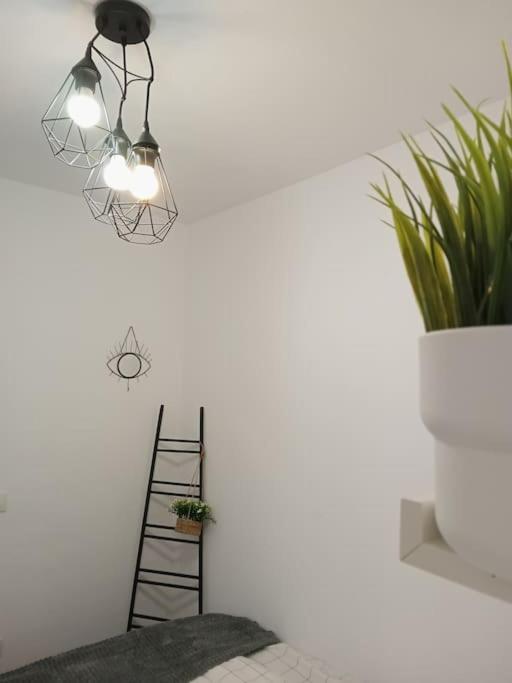 Precioso Apartamento Con Terraza En Piso Superior Los Realejos Zewnętrze zdjęcie
